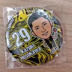 新品未開封　群馬クレインサンダーズ　＃２９　細川一輝　缶バッジ