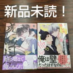BL新刊新品未読！虎に四目屋2水玉ミズ推しカプの攻に攻められる俺八屋りょうすけ