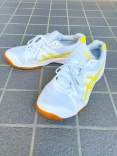 asics アシックス 体育館シューズ 25.0㎝