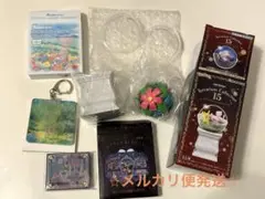 ポケモン　テラリウムコレクション15 フシギバナ　マグネット　ハロウィン