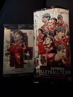 宮浦健人 バレーボール男子日本代表 ウエハース JAPAN VOLLEYBALL