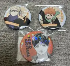 ハイキュー 日向翔陽 月島蛍 影山飛雄 缶バッジ
