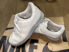 Item thumbnail for item 39909ea8-7823-4fb4-a353-7f198d5e7dca