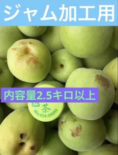 函館近郊産豊後梅ジャム加工用２.5キロサイズ混合のサムネイル