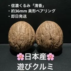 2026年最新】文玩クルミの人気アイテム - メルカリ