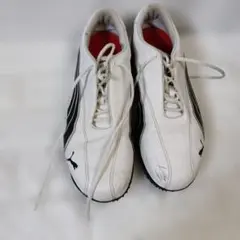 Item thumbnail for item 1ee94778-c50e-48f1-99a0-38d5154a84f0