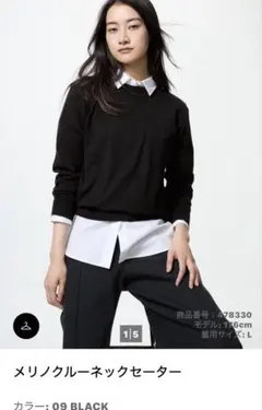 【新品】メリノクルーネックセーター　 ブラック❤︎ 本日１１／２０のみ！