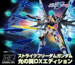 HGCE マイティーストライクフリーダムガンダム ＋ 光の翼 全塗装完成品 HGCE マイティーストライクフリーダムガンダム ＋ 光の翼 全塗装完成品