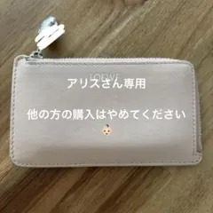 loewe ロエベ　ペブルコインカードホルダー　フラグメントケース