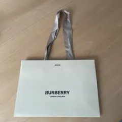 BURBERRY A4サイズ 紙袋 ベージュ