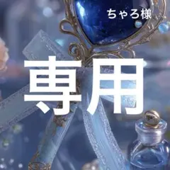 ちゃろ様専用　ぬいぐるみ　おまとめページ