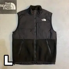 13WE217 THE NORTH FACE フリースベスト