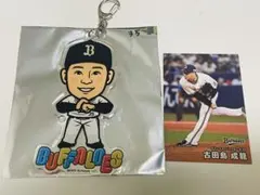 古田島成龍　オリックス　アクリルコードフォルダー　ファンフェス