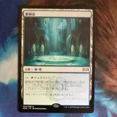 Mtg 繁殖池 日本語