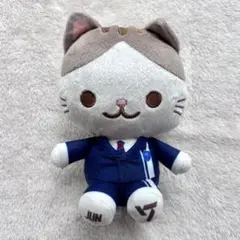 2026年最新】SEVENTEEN ジュン ぬいぐるみの人気アイテム - メルカリ