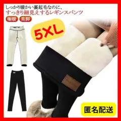 Item thumbnail for item 1477678d-2937-40a1-8646-c40c3987befe