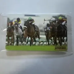 ◎まねき馬 第84回 桜花賞 ステレンボッシュ J.モレイラ