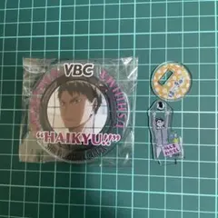 ハイキュー！！ アクリル　牛島若利　miniフィギュア