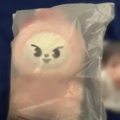 新品未開封 SKZOO PLUSH ORIGINALトゥエッキ ぬいぐるみ - メルカリ