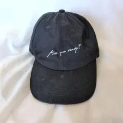 Item thumbnail for item 10d95f22-55fa-44da-a03e-bd5030be6ab9