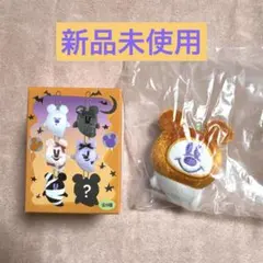 ディズニーハロウィン2025★ぬいぐるみチャー厶シークレットかぼちゃおばけちゃん