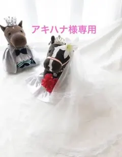 ♡アキハナ様専用♡