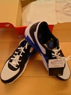 【値下げ⠀】NIKE AIR MAX EXCEE FQ8738-010のサムネイル