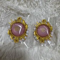 スタライ 10th 斎宮宗リングライト