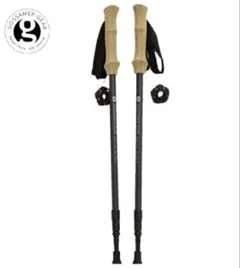 Item thumbnail for item 52b578ec-1750-4f3e-a55d-147126b54a2e