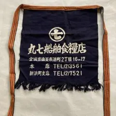 Item thumbnail for item 29338e96-8474-438e-b204-c14262b568b9