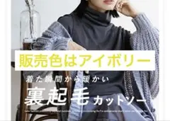 裏起毛 Tシャツ