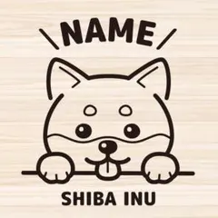 Item thumbnail for item 350e79ac-4426-46dd-a20c-5e0c92f9a15f