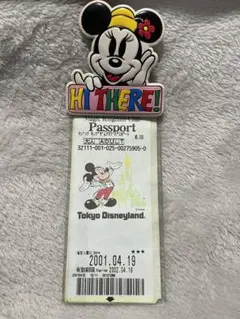 ディズニー チケットホルダー ミニーマウス