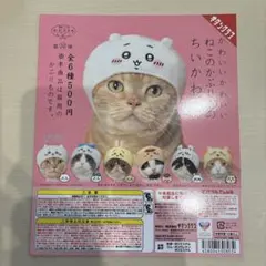 かわいいかわいいねこのかぶりもの ちいかわ POP 台紙のみ