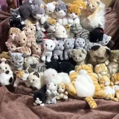2026年最新】猫ぬいぐるみリアルの人気アイテム - メルカリ