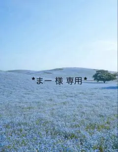 【まー様 専用】ユニバ 貸切パスのサムネイル