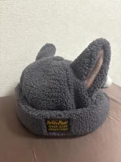 ディズニーシー　ピーターパン　ロストキッズ　ファンキャップ