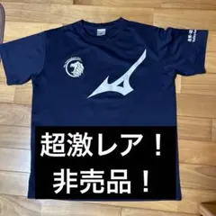 男子バレー バレーボール