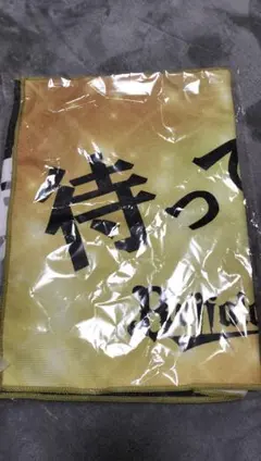 新品未開封】オリックスバファローズ 宮崎キャンプ10周年記念 フェイス 