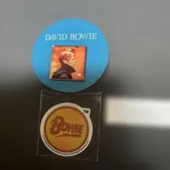 DAVID BOWIE ピンズカプセル　LOW