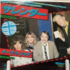 サチアレ様 リクエスト 2点 まとめ商品