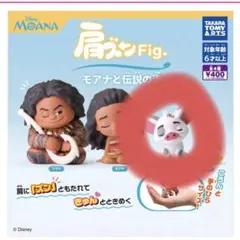 肩ズンFig. モアナと伝説の海 プア