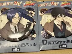 家庭教師ヒットマンREBORN!! カミアニくじ　雲雀恭弥　六道骸　缶バッジ