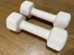 ダンベル 2kg × 2個セット トレーニング 筋トレ エクササイズ