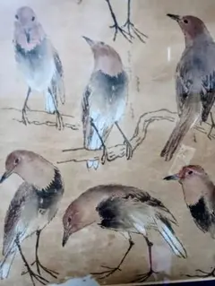 橋本関雪  掛け軸  「梅と宿禽」 叭々鳥 橋本関雪 掛け軸 「梅と宿禽」 叭々鳥 - メルカリ