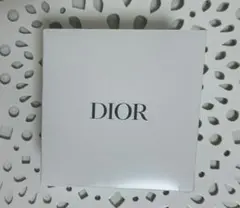 DIOR ノベルティ　ジュエリーポーチ