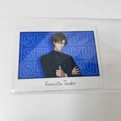 新テニスの王子様 ラウンドワン コラボ カード 手塚国光
