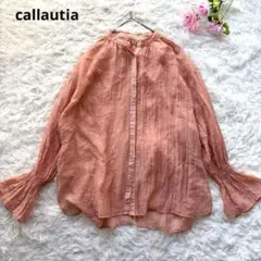 カラウティア　バックスリットシアーシャツ　ブラウス 長袖 ピンク【S】透け感