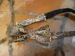 Item thumbnail for item abc71e73-e37c-4bc5-acad-694459393353