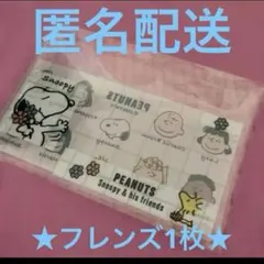 スヌーピー　マイナンバーカードケース　Peanuts フレンズ　1枚　④
